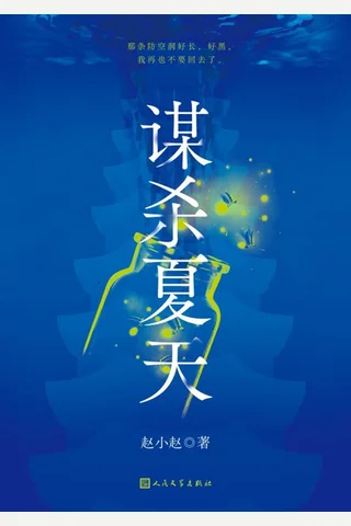 《谋杀夏天》【豆瓣评分7.1】 封面
