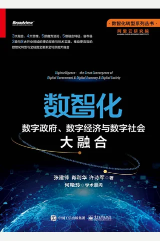 《数智化》数字政府、数字经济与数字社会大融合 封面