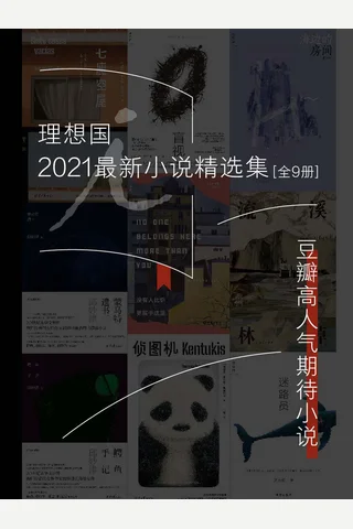 LXG2021最新小说精选集 封面