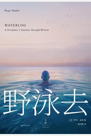 《野泳去》【豆瓣评分8.9】 封面
