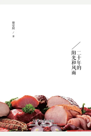 回望：二十年的阳光和风雨 封面