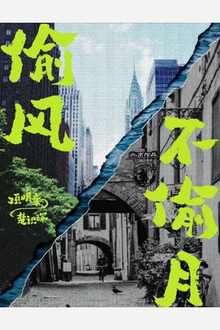《偷风不偷月》【豆瓣评分8.0】 封面