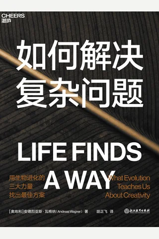 《如何解决复杂问题》 封面