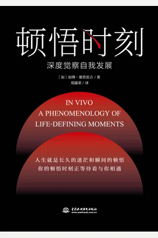 《顿悟时刻》 封面