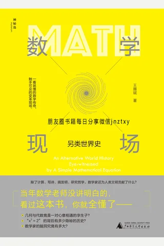 数学现场(另类世界史 封面