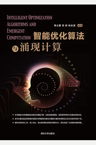智能优化算法与涌现计算 封面