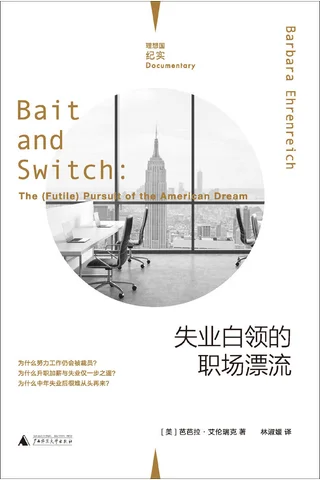 失业白领的职场漂流 封面