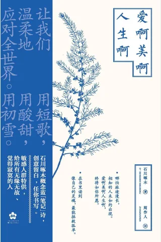 爱啊美啊人生啊 封面