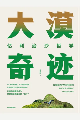 《大漠奇迹》 封面