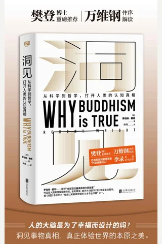 《洞见》罗伯特·赖特 封面
