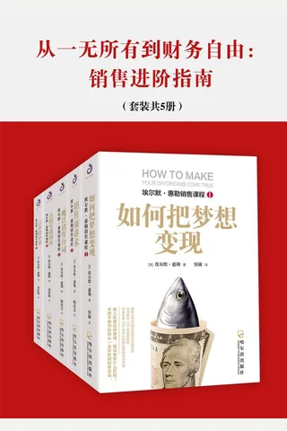 从一无所有到财务zy：销售进阶指南 封面