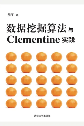 数据挖掘算法与Clementine实践 封面