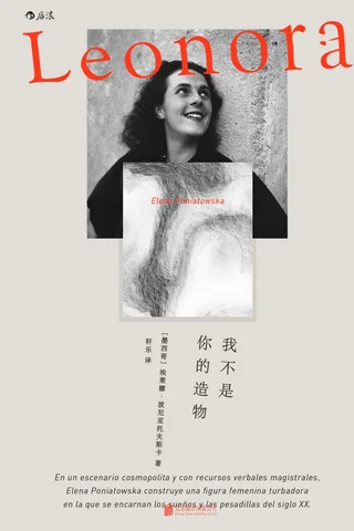 《我不是你的造物》【豆瓣评分8.9】 封面