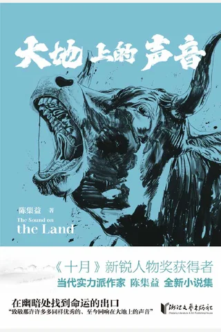 《大地上的声音》 封面