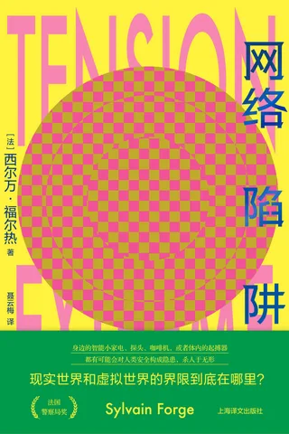 《网络陷阱》 封面