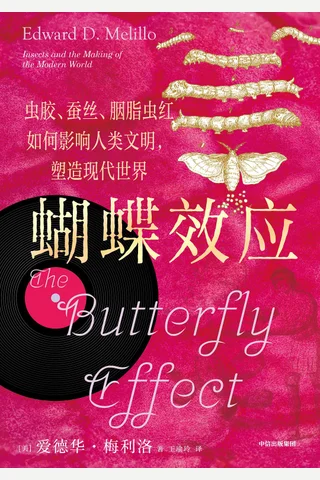《蝴蝶效应》 封面