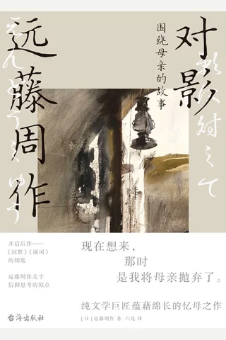 对影：围绕母亲的故事 封面