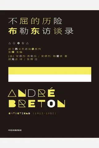 不屈的历险：布勒东访谈录 封面