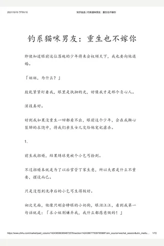 知乎盐选 钓系猫咪男友：重生也不嫁你 封面