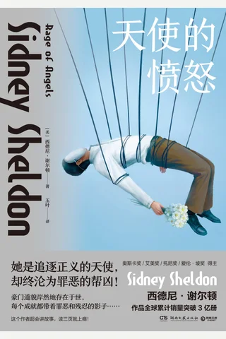 《天使的愤怒》 封面