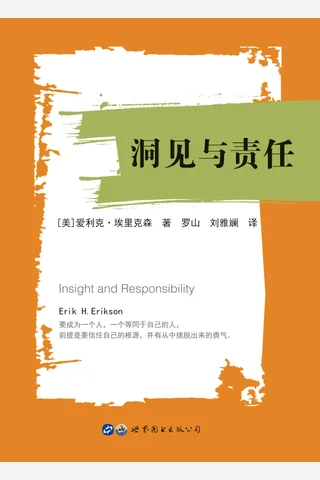 洞见与责任 - 爱利克埃里克森 封面