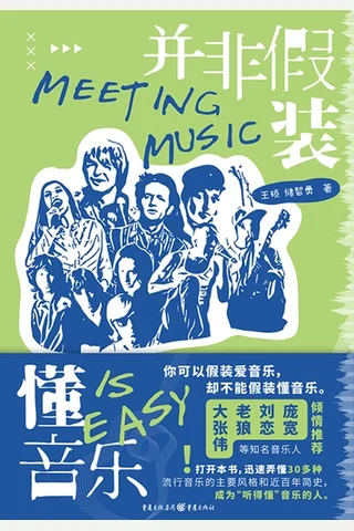 并非假装懂音乐 封面