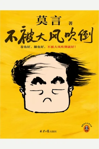 《不被大风吹倒》【豆瓣评分7.5】 封面