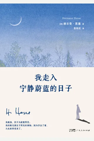 我走入宁静蔚蓝的日子 封面