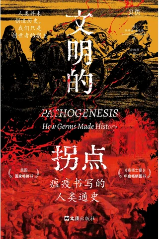 文明的拐点 封面