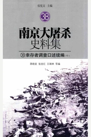南京大屠杀史料集38 幸存者调查口述续编 中 封面