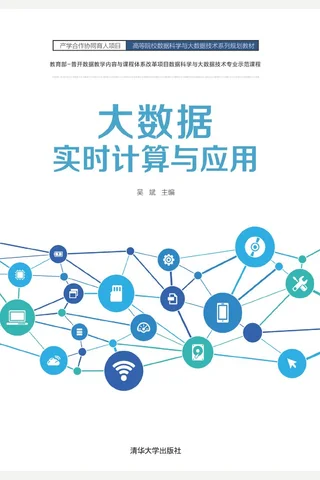 大数据实时计算与应用 封面