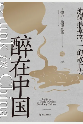 醉在中国 封面