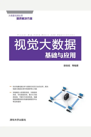 视觉大数据基础与应用 封面