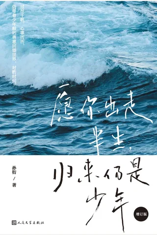 愿你出走半生，归来仍是少年 封面