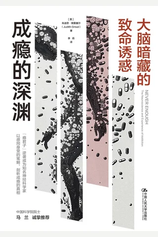 成瘾的深渊 封面