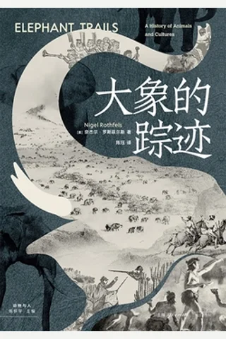 大象的踪迹 封面