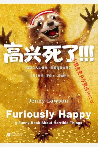 高兴死了 封面