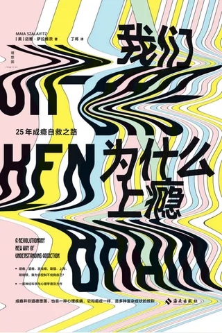 《我们为什么上瘾》 封面