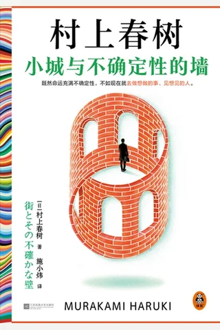 《小城与不确定性的墙》【豆瓣评分8.3】 封面