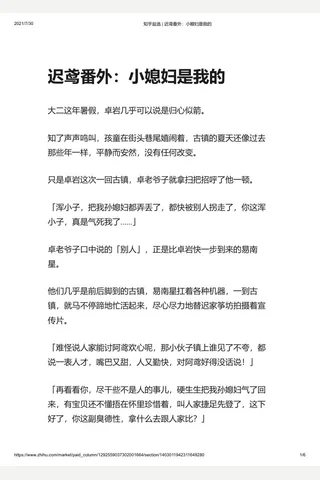知乎盐选 迟鸢番外：小媳妇是我的 封面