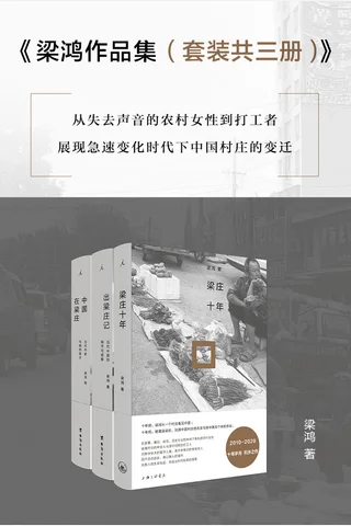 梁鸿作品集（套装共三册）【从失去声音的农村女性到返乡的打工者 展现急速变化时代下中国村庄的变迁 理想国出品】 封面