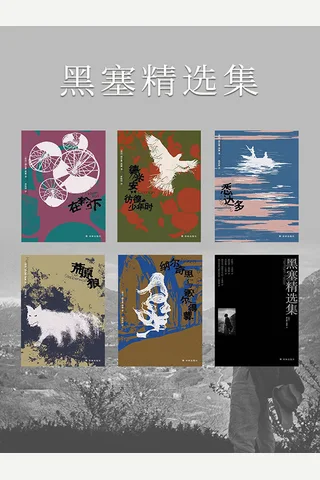 黑塞精选集 封面
