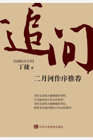 追问 封面