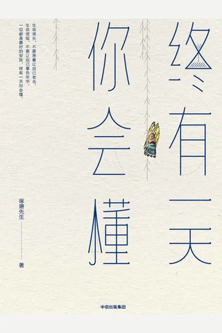 《终有一天你会懂》 封面