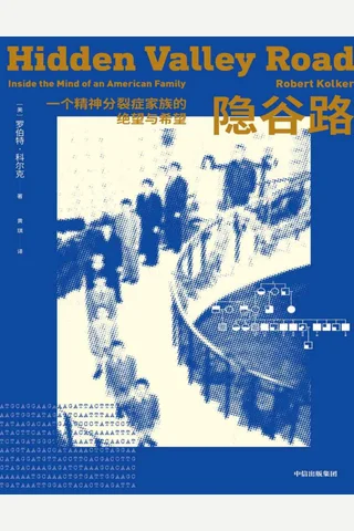 隐谷路 ： 一个精神分裂症家族的绝望与希望 封面