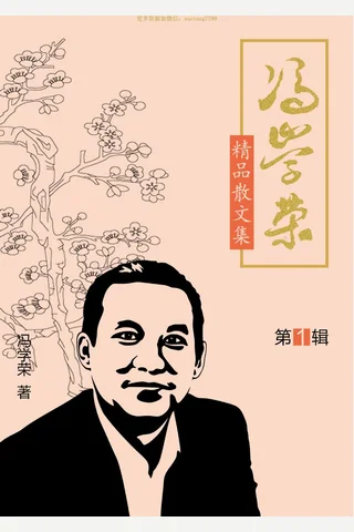 冯学荣作品第一辑 封面