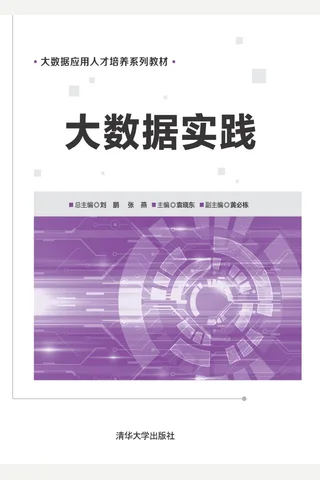 大数据实践 封面