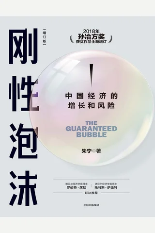 刚性泡沫（增订版）：中国经济的增长和风险 封面
