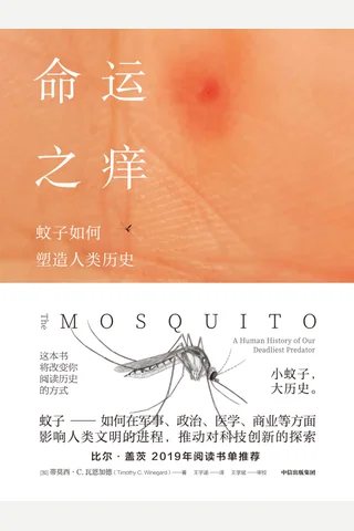 《命运之痒》 封面