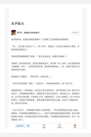 太子纵火 封面